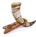 Decorative item with a large horn and wooden base on a white background