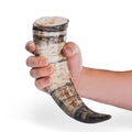 Hand holding a large animal horn against a white background