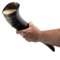Hand holding a large black horn with liquid inside on a white background