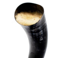 Black horn with foam inside on a white background