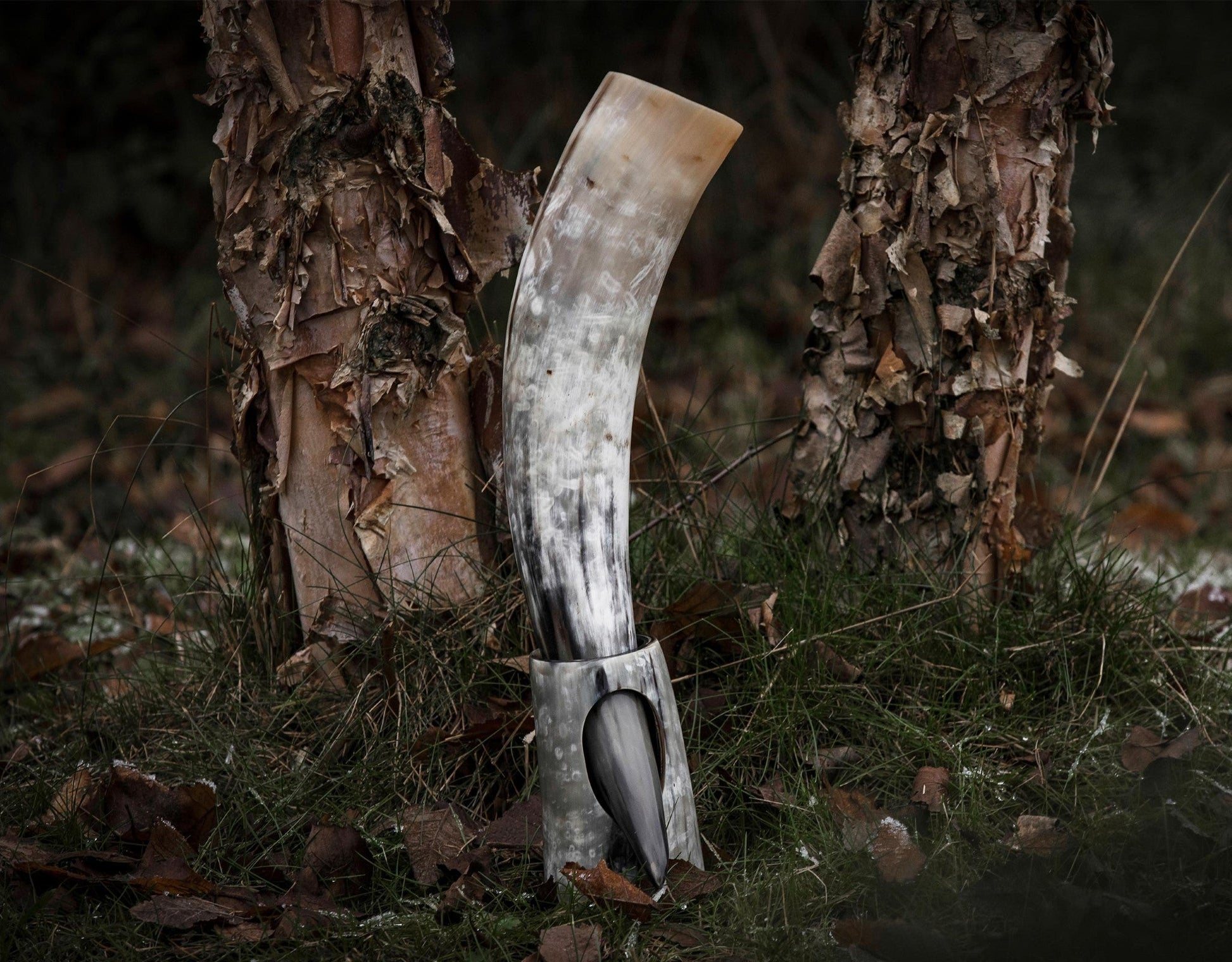 Decorative antler with a sharp point on a forest floor