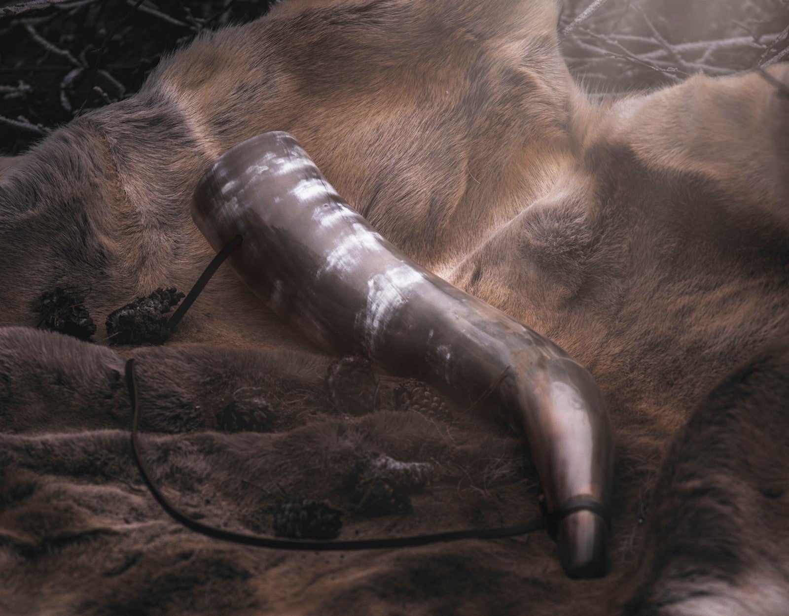 Clear plastic object on a brown fur surface